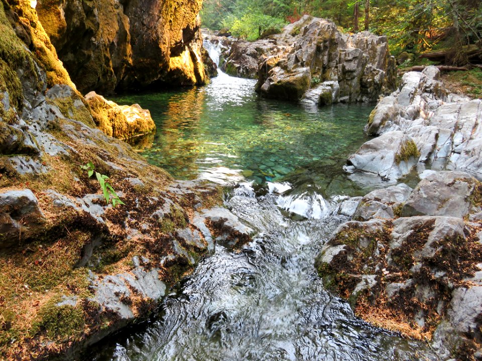 Opal Creek Pool in Oregon