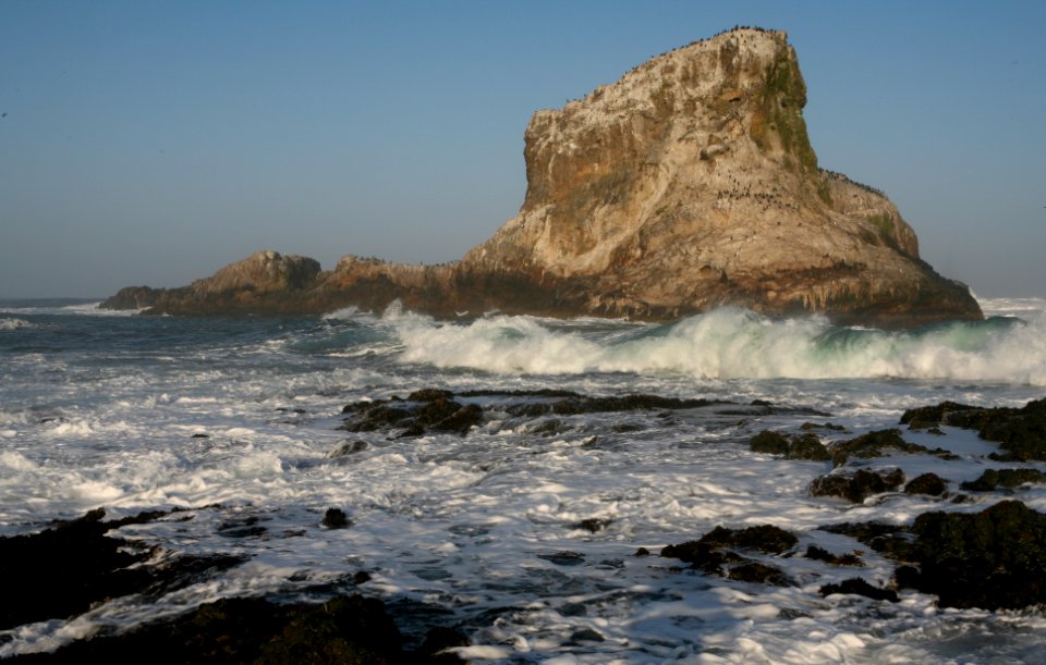Piedras Blancas Light Station