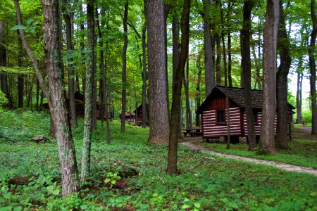 Cabins