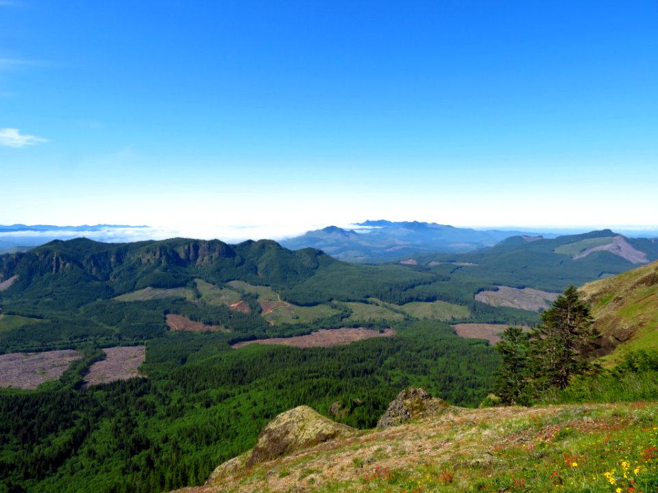 Saddle Mountain Trail in OR