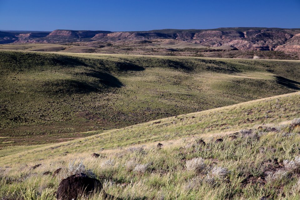 domin escalante nca-19
