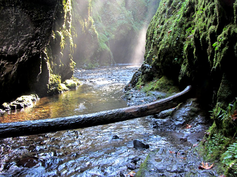 Oneonta Gorge at Columbia River Gorge in OR
