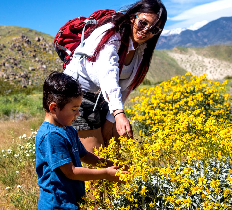 Pacific Crest Trail