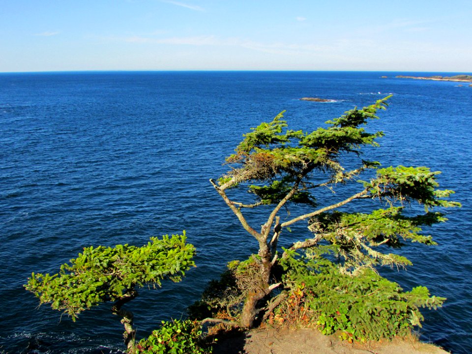 Cape Flattery in Washington