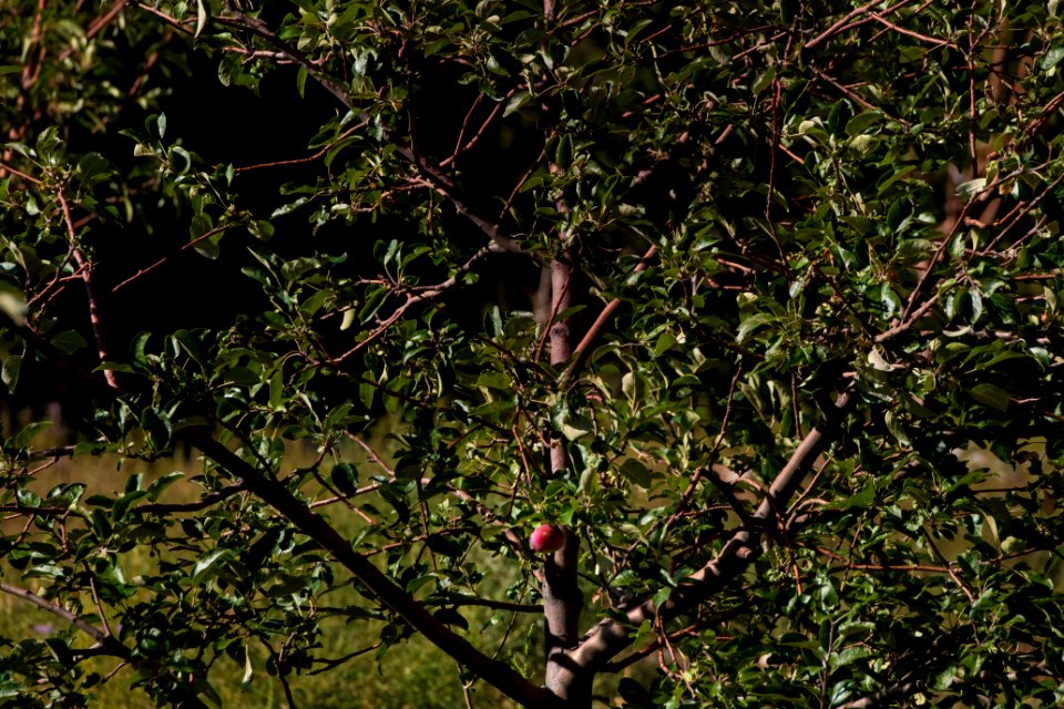 20190911-OPPE-LSC-0804