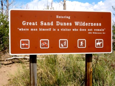 Dunes! Dude!
