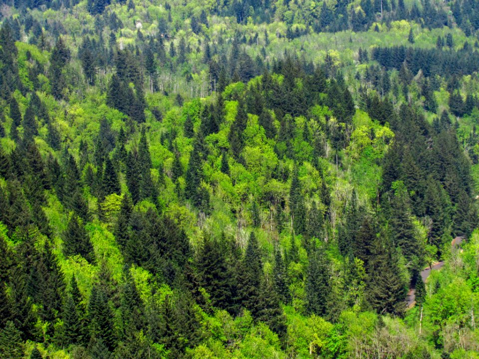 Cape Horn at Columbia River Gorge in WA
