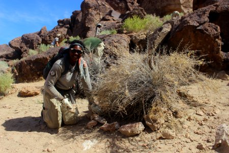 AmeriCorps NCCC, Green 1 Service Year with BLM