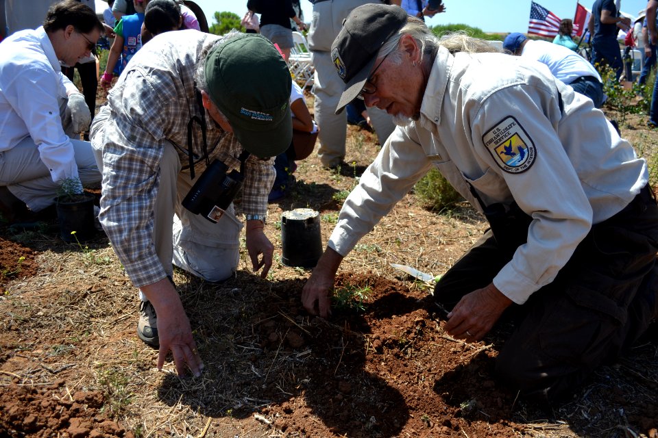 San Diego Bay National Wildlife Refuge - Milkweed Planting Event