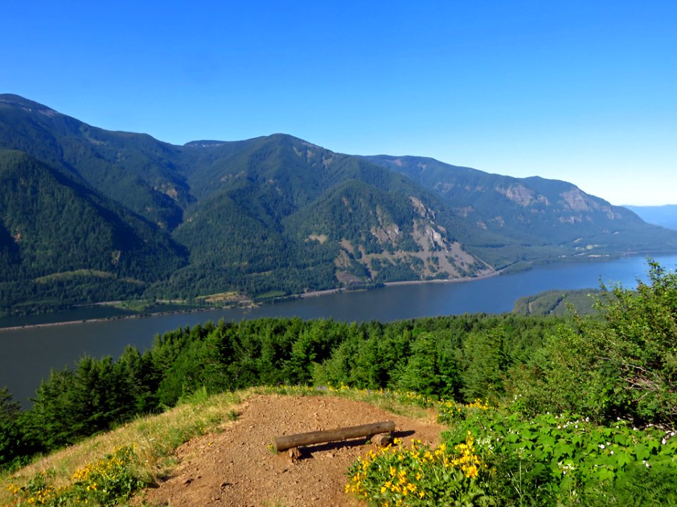 Dog Mountain Trail in Washington