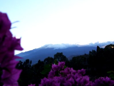 Hotel San Domenico-Taormina-Sicilia-Italy - Creative Commons by gnuckx