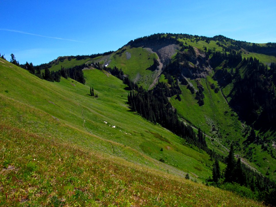 Tatoosh Wilderness in WA