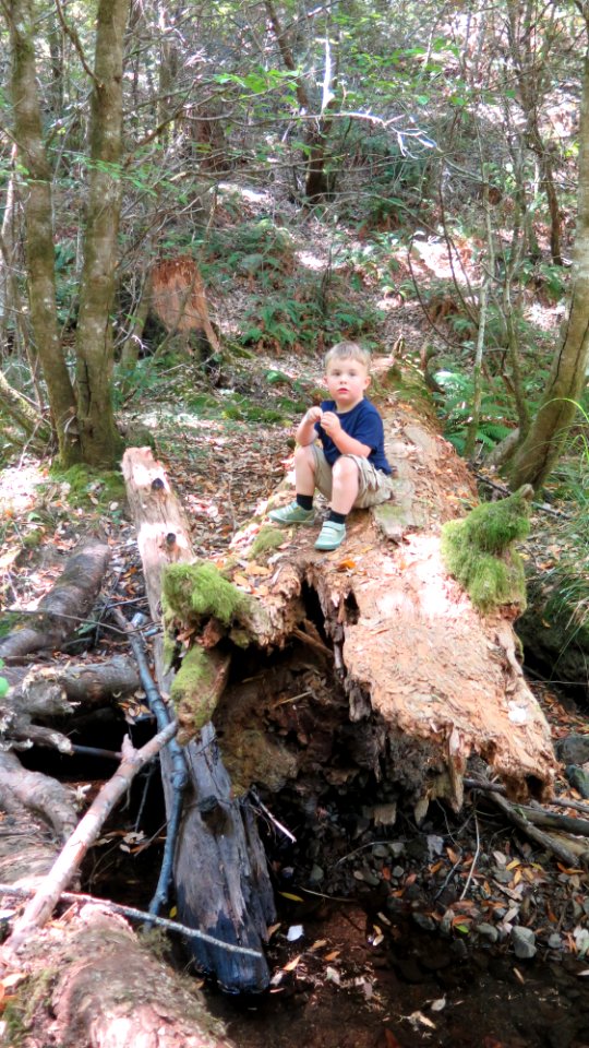 Exploring Wailaki Campground