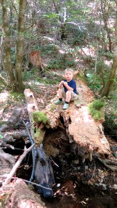 Exploring Wailaki Campground