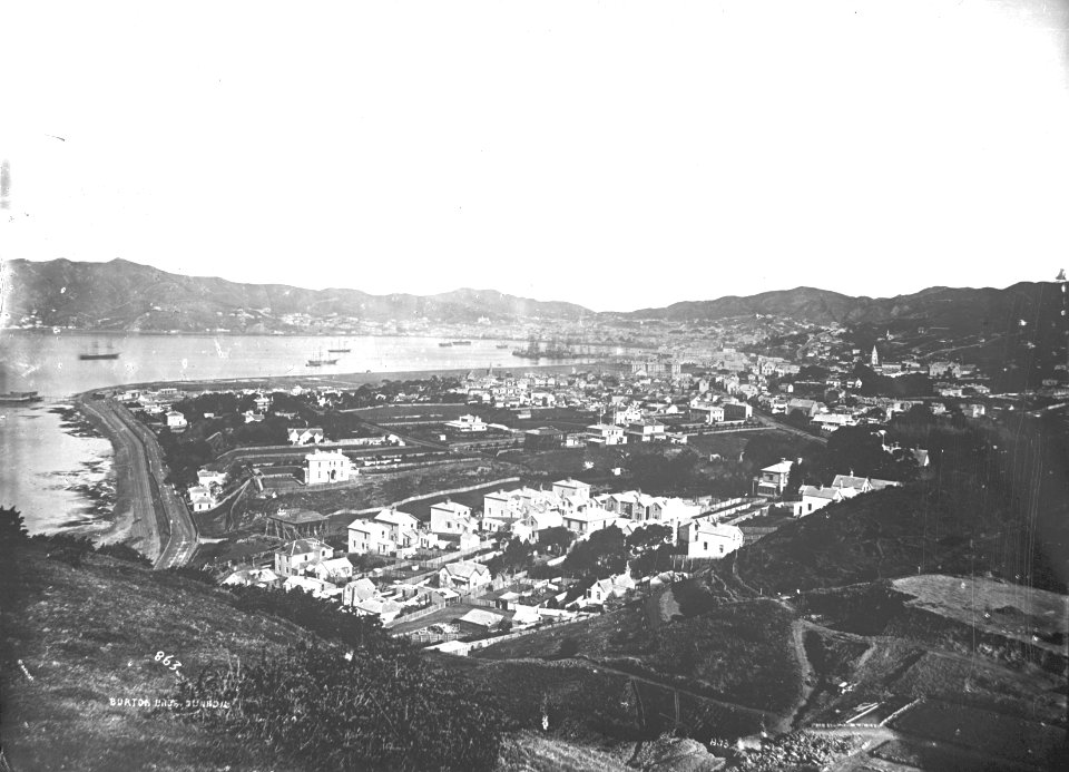 17; Elevated view of Thorndon Flat - Circa 1870 - Glass Plate Negative