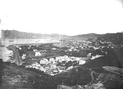 17; Elevated view of Thorndon Flat - Circa 1870 - Glass Plate Negative