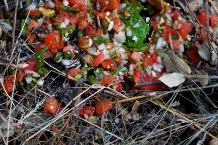 This Compost Heap is Hot