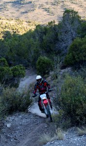 small-Bocco Mtn OHV CO-1376