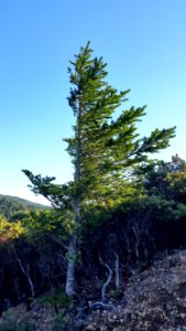 Hidden Valley Quest