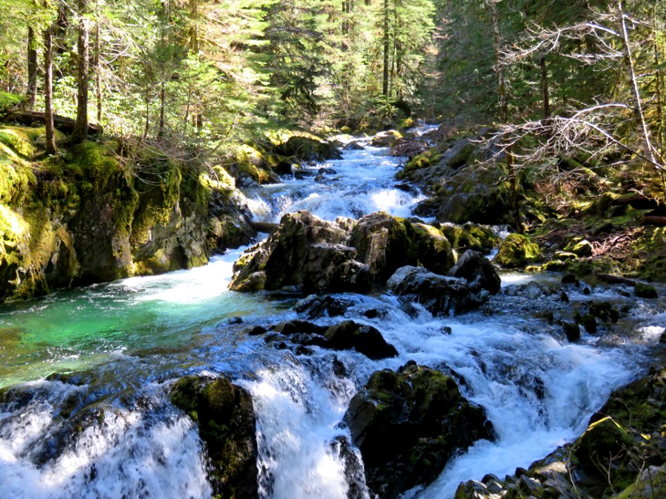 Opal Creek Wilderness in Oregon