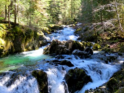 Opal Creek Wilderness in Oregon photo