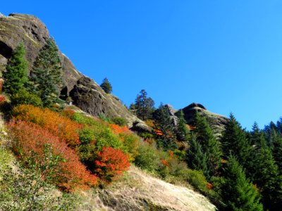 Saddle Mountain Trail in OR