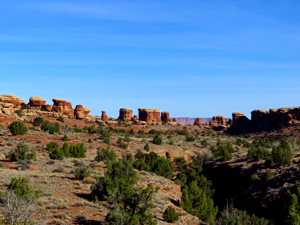 Needles District at Canyonlands NP in Utah