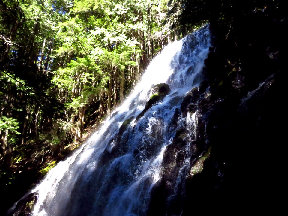 Ramona Falls Hike at Mt. Hood Wilderness in Oregon