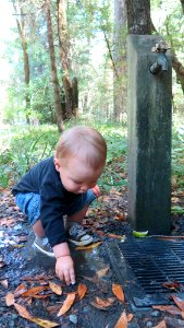 Exploring Wailaki Campground
