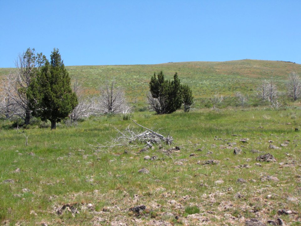Surprise Valley Barrel Springs Back-Country Byway