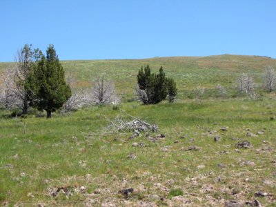 Surprise Valley Barrel Springs Back-Country Byway