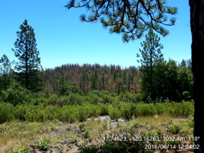 Greeley Hill
