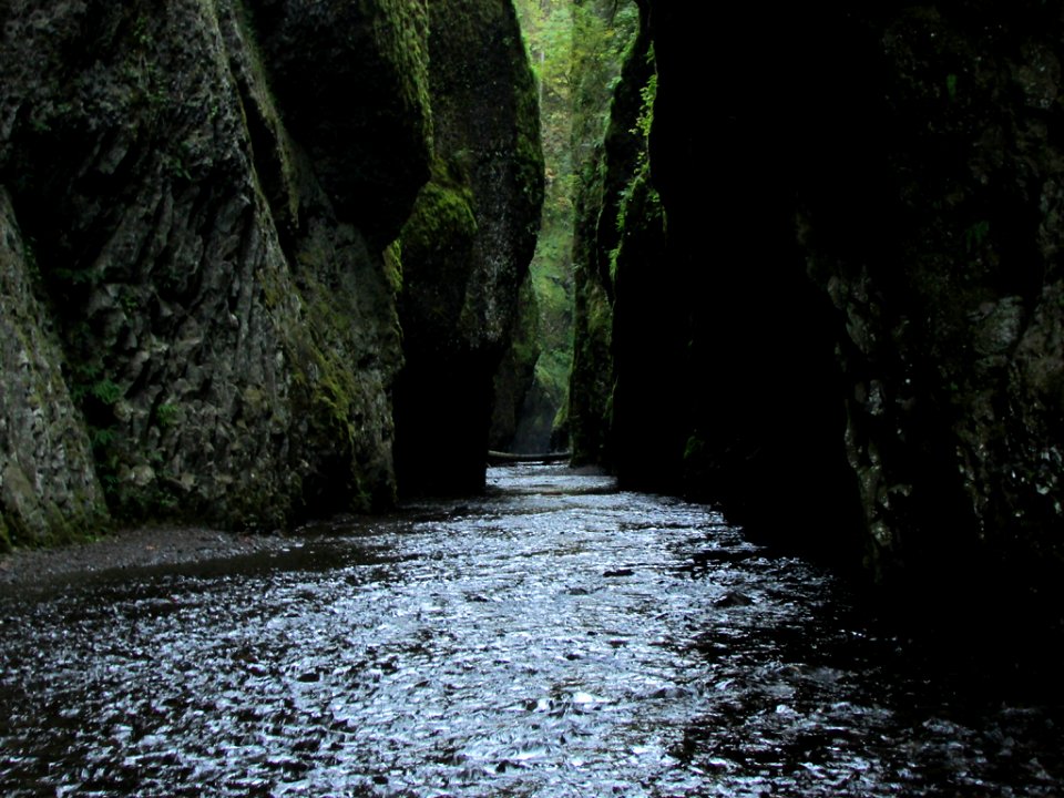 Oneonta Gorge at Columbia River Gorge in OR