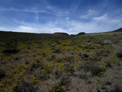 Volcanic Tablelands photo
