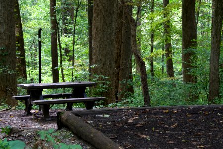 Site