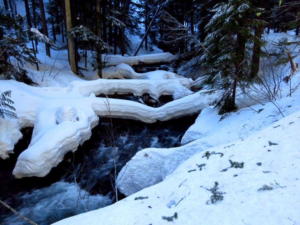 Tamanawas Falls Trail at Mt. Hood in Oregon