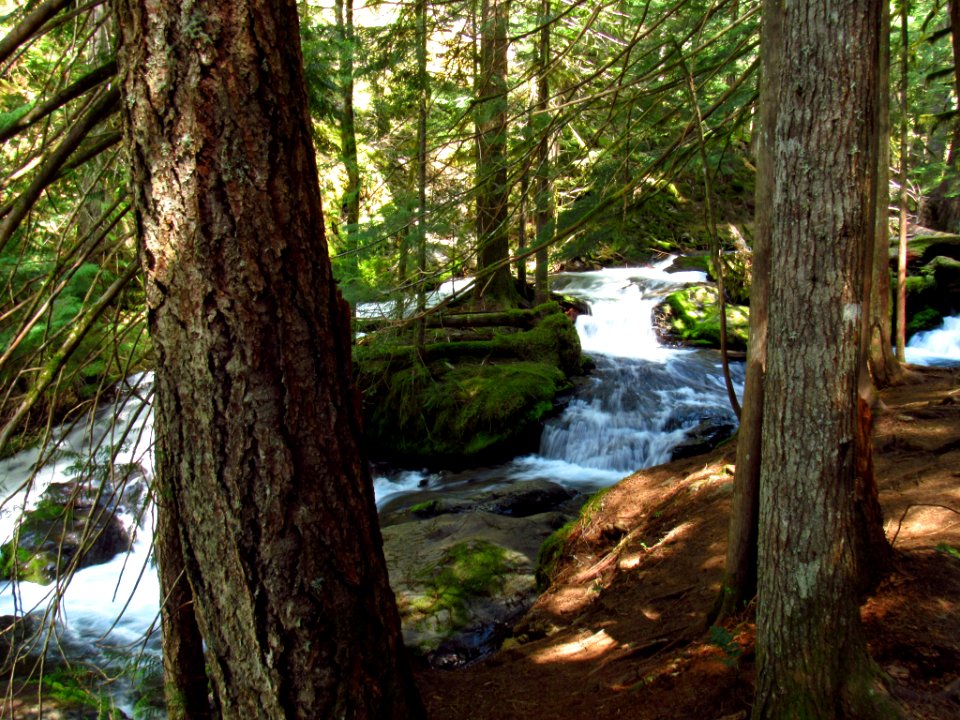 Panther Creek Falls Trail in WA
