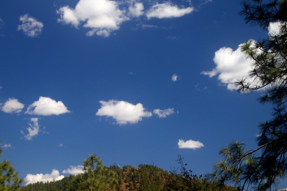 Blue Sky Over Strawberry Mountain