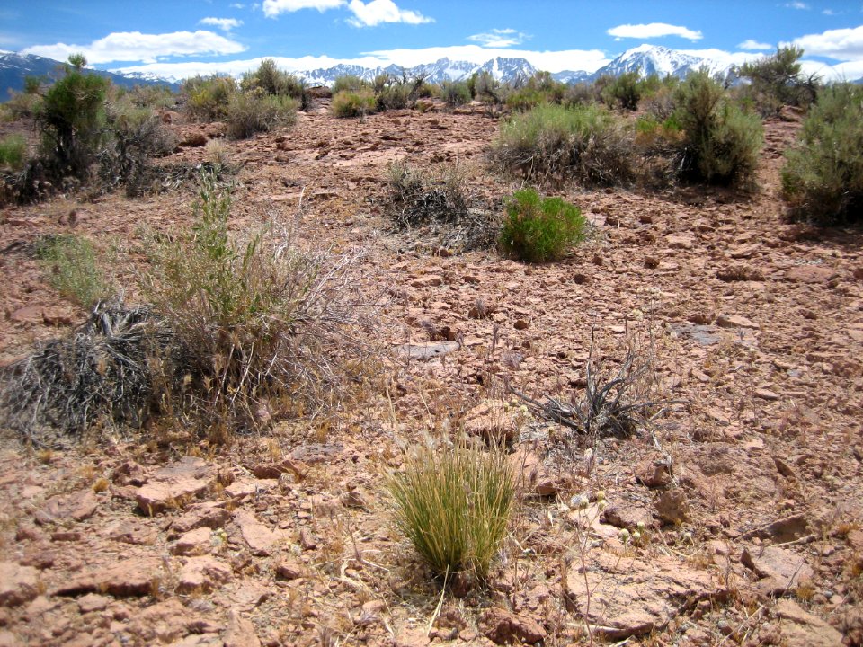 Volcanic Tablelands photo