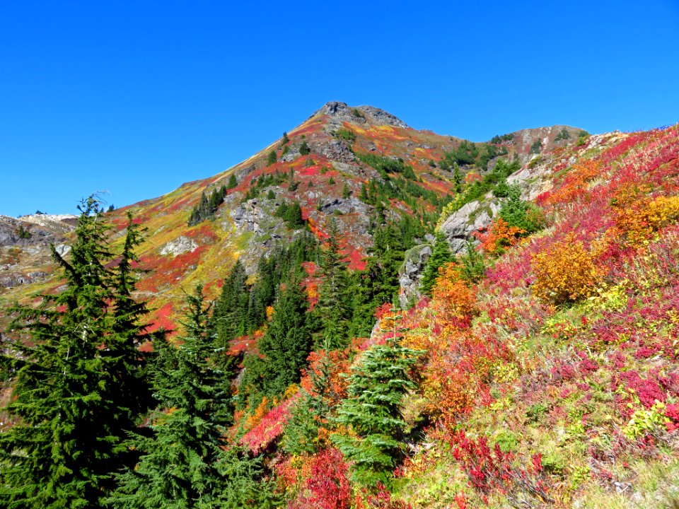 Autumn at Yellow Aster Butte in WA