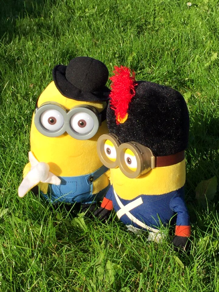 Cute stuffed animal soft toy