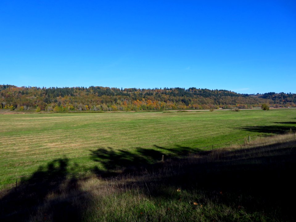 Autumn at Steigerwald Lake NWR in WA