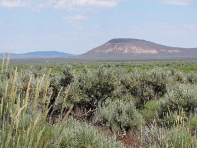 Surprise Valley Barrel Springs Back-Country Byway
