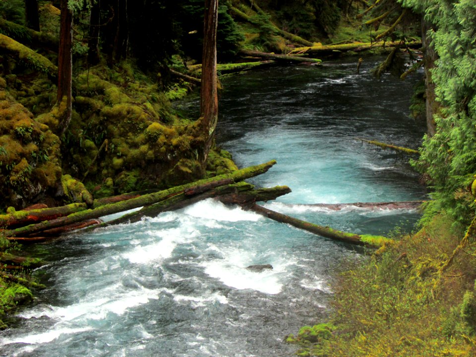 McKenzie River in OR