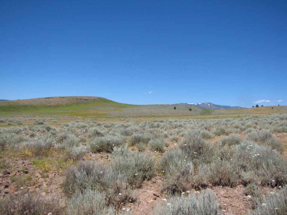 Surprise Valley Barrel Springs Back-Country Byway