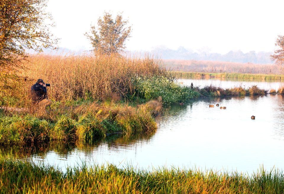 Cosumnes River Preserve
