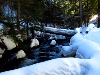 Tamanawas Falls Trail at Mt. Hood in Oregon photo