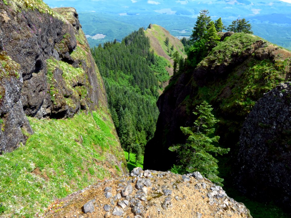 Saddle Mountain Trail in OR