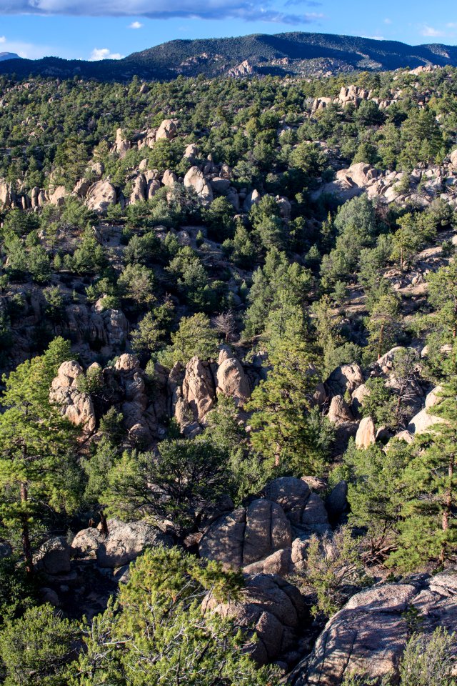 Browns Canyon National Monument