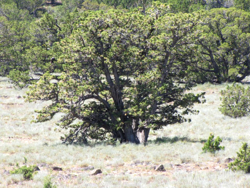 Surprise Valley Barrel Springs Back-Country Byway